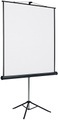Stativ-Lichtbildwand Bildwandformat 1 : 1 Bildfläche BxH 1470 x 1530 mm