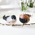 LOBERON Vogel 2er Set Harera