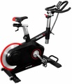 Taurus, Taurus Indoor Bike Z9