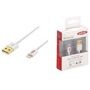 ednet iPad/iPhone/iPod Ladekabel/Datenkabel [1x USB 2.0 Stecker A - 1x Apple Lightning-Stecker] 3 m Weiß