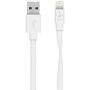 Belkin iPad/iPhone/iPod Datenkabel/Ladekabel [1x USB 2.0 Stecker A - 1x Apple Lightning-Stecker] 1.2 m Weiß