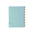 Biella Karton Blau, Gelb 0462443.00