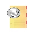 BIELLA Register Karton braun A4 46444600 6 - teilig