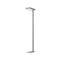 HANSA Stehleuchte LED Jaspis 41-5010.728 dimmbar, anthrazit
