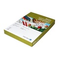 PAPYRUS Karton Bristol 50x70cm 88249314 160g, weiss 10 Blatt