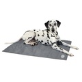 Scruffs & Tramps Kühlmatte für Hunde Grau Größe L 2718
