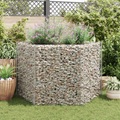 vidaXL Sechseckiges Gabionen-Hochbeet 160×140×100 cm