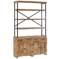 vidaXL Sideboard mit Einlegeböden Mangoholz Massiv 120 x 35 x 200 cm