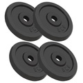 Diverse Hardware, Hantelscheiben 4 Stk. 20 kg Gusseisen
