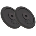 Diverse Hardware, Hantelscheiben 2 Stk. 20 kg Gusseisen