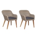 vidaXL Gartenstühle mit Polstern 2 Stk. Poly Rattan Braun