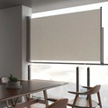 Ausziehbare Seitenmarkise 140 x 300 cm Creme
