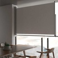 Einziehbare Seitenmarkise 160 x 300 cm Grau