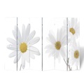 Foto-Paravent Paravent Raumteiler Blumen 240 x 180 cm