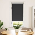 Verdunklungsrollo Verdunkelungsrollo Rollo 60x120 schwarz