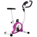 Diverse Hardware, Heimtrainer mit Gurtwiderstand Lila