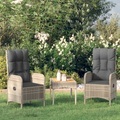 vidaXL Gartenstühle 2 Stk. Poly Rattan Grau