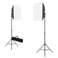 vidaXL Professionelle Studioleuchten 2 Stk. 40 x 60 cm Stahl Schwarz