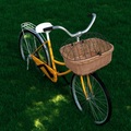vidaXL, vidaXL Fahrrad-Frontkorb mit Deckel 50×45×35 cm Naturweide