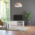vidaXL TV-Schrank Weiß 120 x 34 x 37 cm Spanplatte