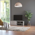 TV-Schrank Betongrau 120 x 34 x 37 cm Spanplatte