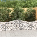 vidaXL Gabionen mit Hochbogen 4 Stk. 200x50x60/80 cm Verzinktes Eisen