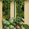 vidaXL, vidaXL Pflanzenstützen 30 Stk. Grün 150 cm Stahl