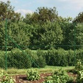 vidaXL, vidaXL Maschendrahtzaun Grün 1,8x10 m