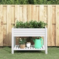 vidaXL, vidaXL Hochbeet Weiß 110x45x79 cm Polypropylen