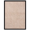 vidaXL, vidaXL Fußmatte Beige 40x60 cm