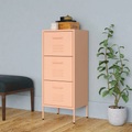 vidaXL, vidaXL Lagerschrank Rosa 42,5x35x101,5 cm Stahl
