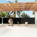 vidaXL Seitenmarkise Ausziehbar Schwarz 160x1200 cm