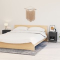 vidaXL, vidaXL Nachttische 2 Stk. Anthrazit 40x30x54,5 cm Stahl und Glas