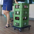 vidaXL, vidaXL Transportroller Schwarz 58x38x12 cm PP