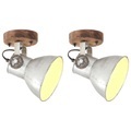 vidaXL Wand-/Deckenlampen Industriestil 2 Stk. Silbern 20x25 cm E27