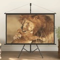 vidaXL Beamer-Leinwand mit Stativ 60