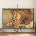 vidaXL, vidaXL Beamer-Leinwand mit Stativ 100