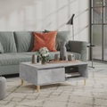 vidaXL Couchtisch Betongrau 90x60x35 cm Spanplatte