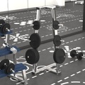 vidaXL, vidaXL Hantelscheibe 20 kg Gusseisen