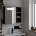 vidaXL, vidaXL Spiegelschrank mit LED-Beleuchtung Schwarz 60x13x52 cm