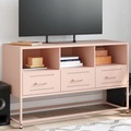 vidaXL TV-Schrank Rosa 100,5x39x60,5 cm Stahl