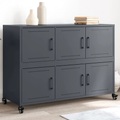 vidaXL Sideboard Anthrazit 100,5x39x72 cm Kaltgewalzter Stahl
