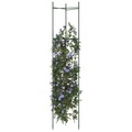 vidaXL, vidaXL Tomatenkäfige 6 Stk. 154 cm Stahl und PP