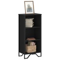 vidaXL Bücherregal Schwarz 50x31x106 cm Holzwerkstoff