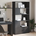 vidaXL Bücherregal Schwarz 100x36x189 cm Holzwerkstoff