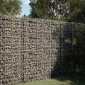 vidaXL Gabione mit Deckel 100x100x200 cm Verzinktes Eisen
