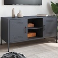vidaXL TV-Schrank Anthrazit 100,5x39x50,5 cm Stahl