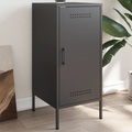 vidaXL Sideboard Schwarz 36x39x79 cm Kaltgewalzter Stahl