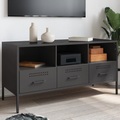 vidaXL TV-Schrank Schwarz 100,5x39x50,5 cm Kaltgewalzter Stahl
