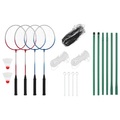 vidaXL, vidaXL Badminton-Set mit 4 Schlägern und Netz 620x151 cm